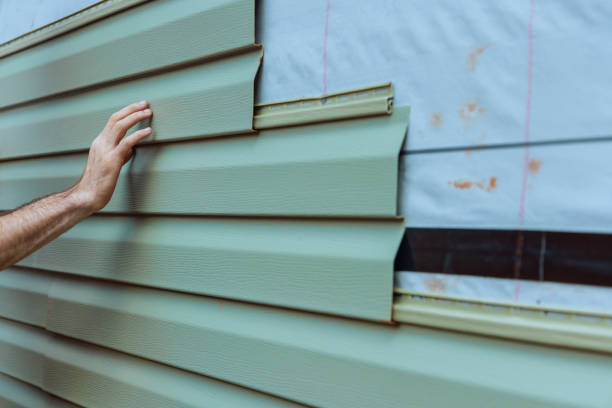 Best Siding Painting and Refinishing  in Sully Square, VA